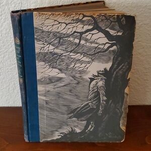 Wuthering Heights book